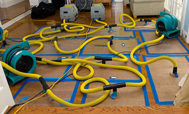 Professional Basement Flood Cleanup technician working in Stafford, OH